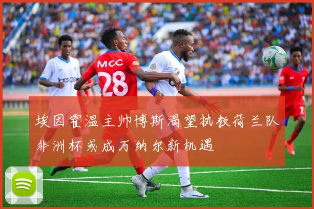 埃因霍温主帅博斯渴望执教荷兰队非洲杯或成万纳尔新机遇